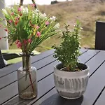 Dom wakacyjny Soholmvej Denm